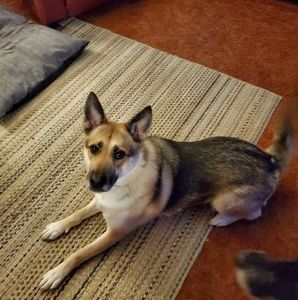 Meet your Posher, Alana